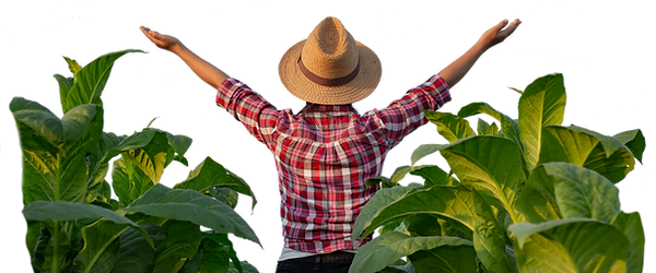 Farmer 2.png
