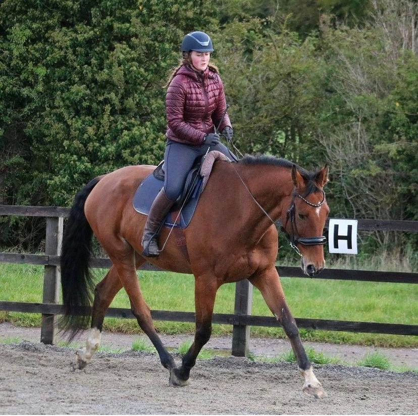 rider position, the horse hub