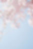 Dr. Silke Schmetzer · Ganzheitliche Gesundheitsberatung · www.dr-silke-schmetzer.de