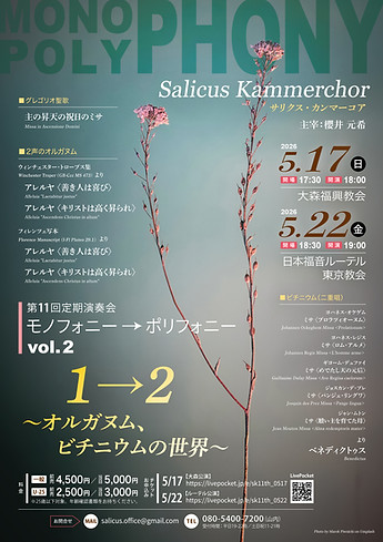 Salicus11thチラシ_表.jpg