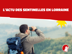 Nouveau : découvrez l’Actu des Sentinelles en Lorraine !
