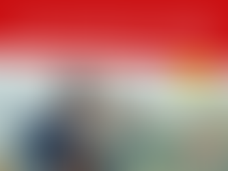 Nouveau : découvrez l’Actu des Sentinelles en Lorraine !