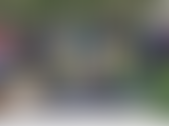 Une journée d’actions et d’échanges pour Lorraine Nature Environnement 🌱