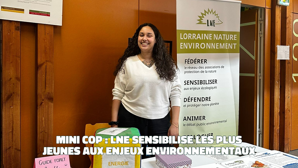 Mini COP : sensibiliser dès aujourd’hui les plus jeunes aux enjeux environnementaux 🌍