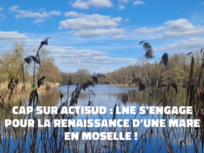 Cap sur ACTISUD : LNE s’engage pour la renaissance d’une mare en Moselle ! 