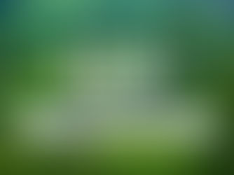 Utilisez Lilo pour soutenir LNE gratuitement