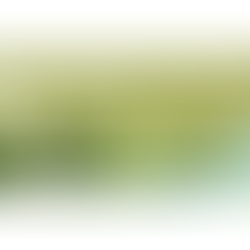 Bilan de notre campagne 2024 Sentinelles de la Haie