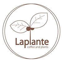 laplantecoffee_omihachiman2604.jpg