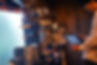 DSC02310.jpg