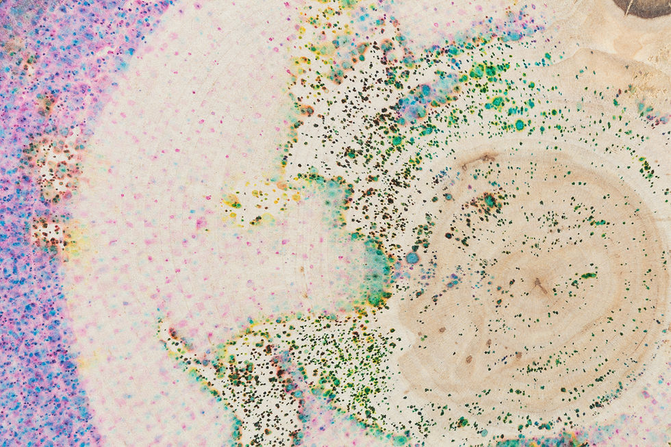 藤永覚耶 展覧会 Transit × Dongree