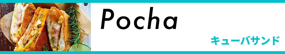 f04pocha.jpg