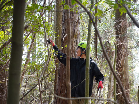 5月のTUKURU森の活動 5/13・5/31 (雨天中止)
