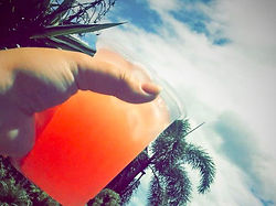 Blueberry Kombucha; Cairns Kombucha; Fresh Kombucha