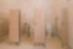 Our Newly Renovated Toilets