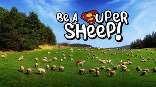 How to be a Super Sheep