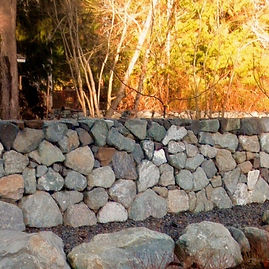 FIRST PICK (1)_edited_edited_edited_edited_edited.jpg