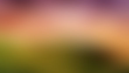 LOOK BEYOND THE HILLS