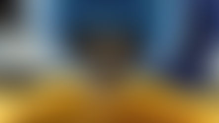 ヤマメ親魚放流