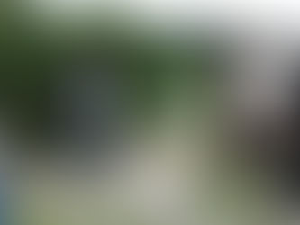 サクラマス釣り大会開催