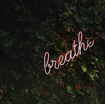 tim-goedhart-vnpTRdmtQ30-unsplash.jpg