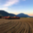 Anderson Sod Farm