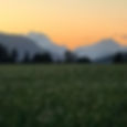 Anderson Sod Farm