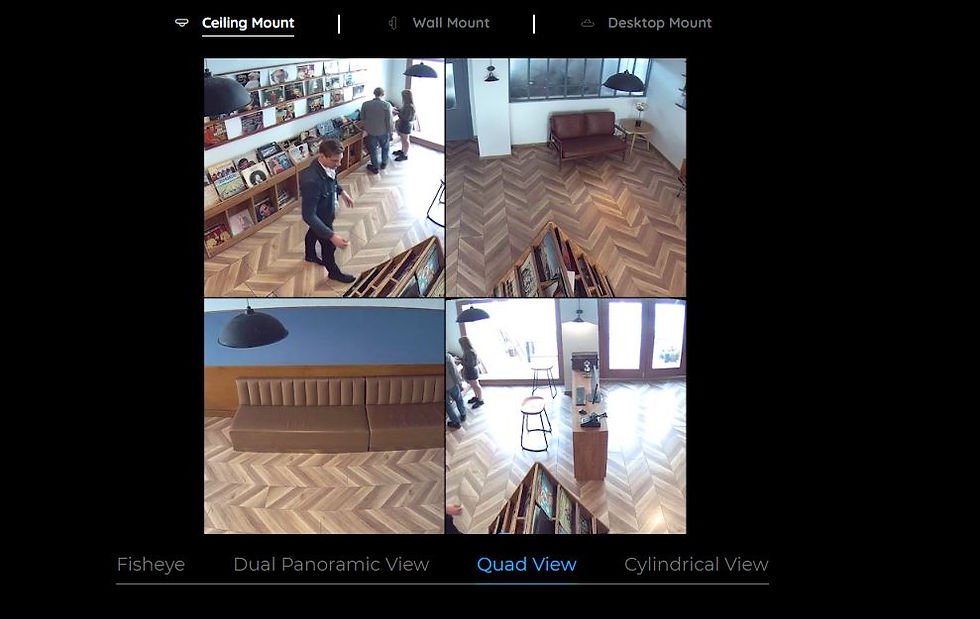 Миниатюра: Reolink WIFI Indoor Panoramic 6MP Fisheye Camera