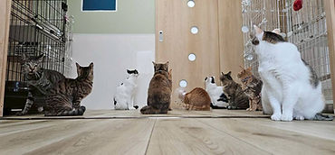 LINE_ALBUM_ハウスの様子Ⅰ 202547〜_250822_4.jpg