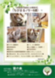 ちびまる 20190424 募集ポスター(多頭飼育の猫編).jpg