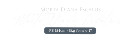 모르타.png