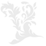 fdsdsffs.png