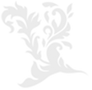 fdsdsffs.png