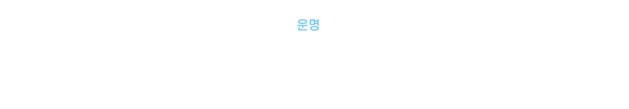 모르타.png