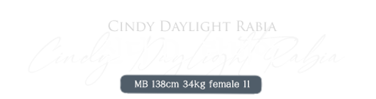 신디 D. 라비아.png