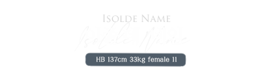 이졸데 네임.png