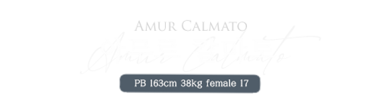아무르.png
