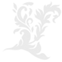 fdsdsffs_edited.png