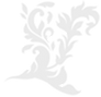 fdsdsffs_edited.png