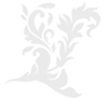 fdsdsffs_edited.png