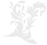 fdsdsffs_edited.png