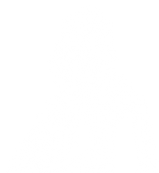 54645654654_edited.png