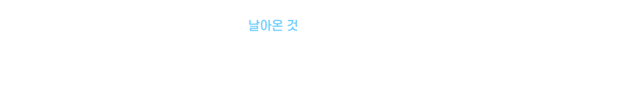 바네사.png