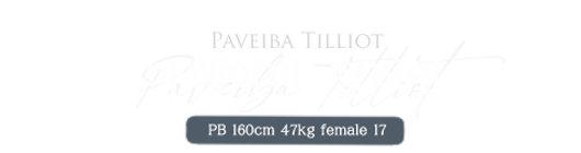 파베이바.png