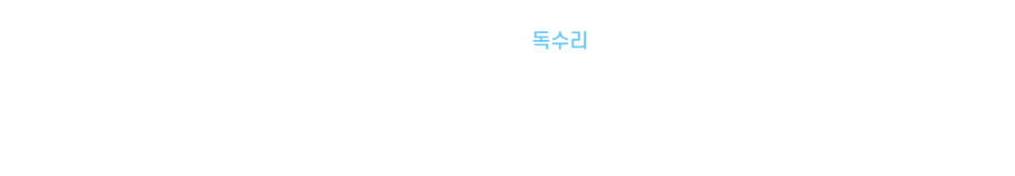 테미스.png