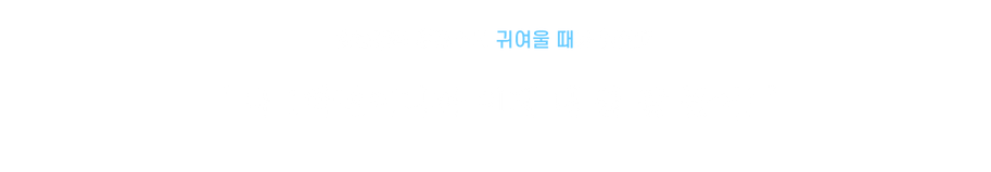 모르타.png
