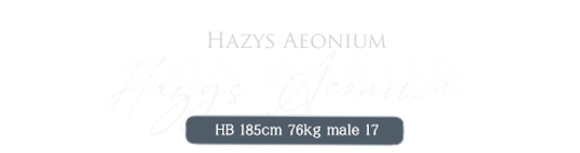헤지스.png