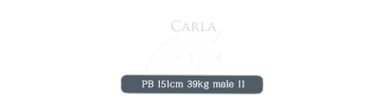 칼라.png