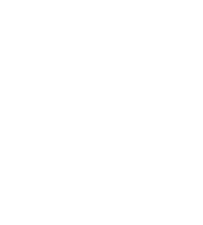 54645654654.png