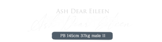 애쉬 D. 아일린.png