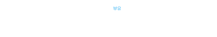 질레타.png